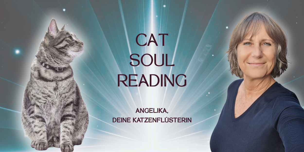 AC-Formular-Freebie Cat-Soul-Reading