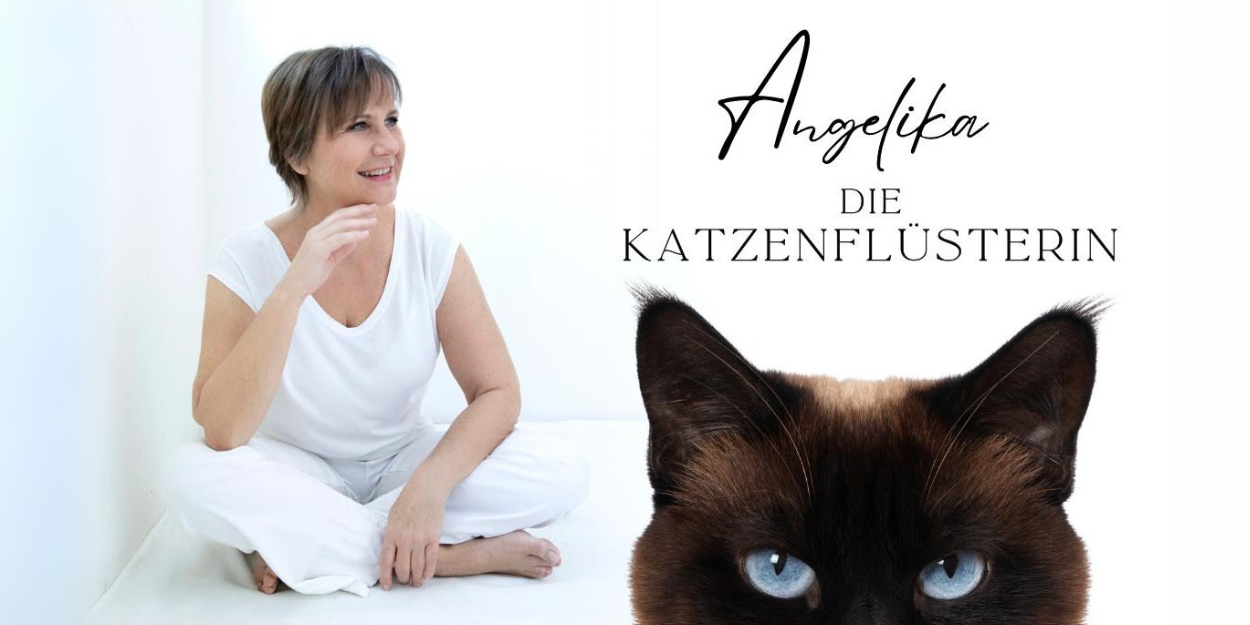 AC_Anmeldeformulare (400 x 200 px) (1)
